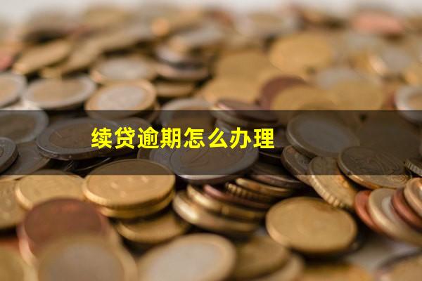 续贷逾期怎么办理