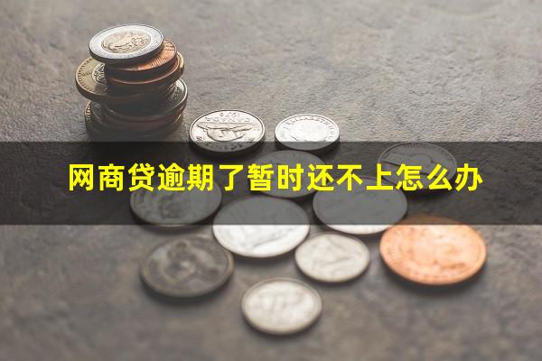网商贷逾期了暂时还不上怎么办