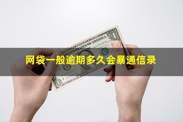 网袋一般逾期多久会暴通信录