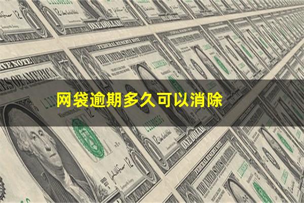网袋逾期多久可以消除