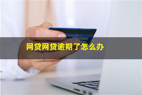 网贷网贷逾期了怎么办