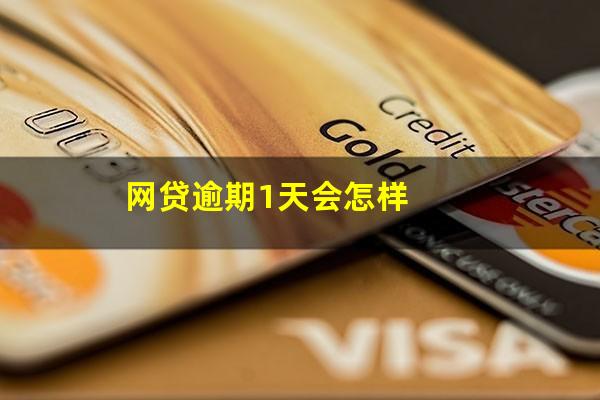网贷逾期1天会怎样