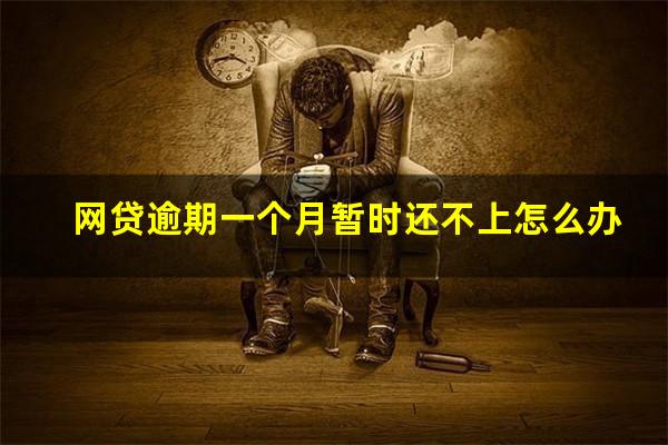网贷逾期一个月暂时还不上怎么办