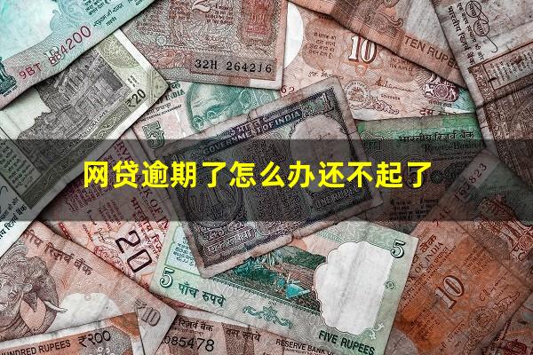 网贷逾期了怎么办还不起了