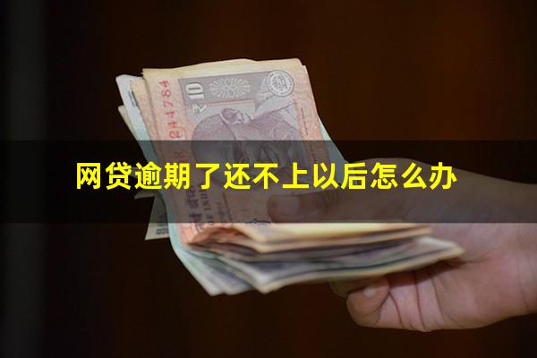 网贷逾期了还不上以后怎么办
