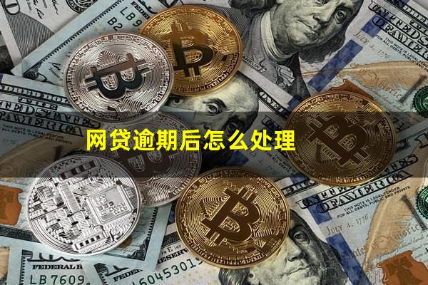 网贷逾期后怎么处理