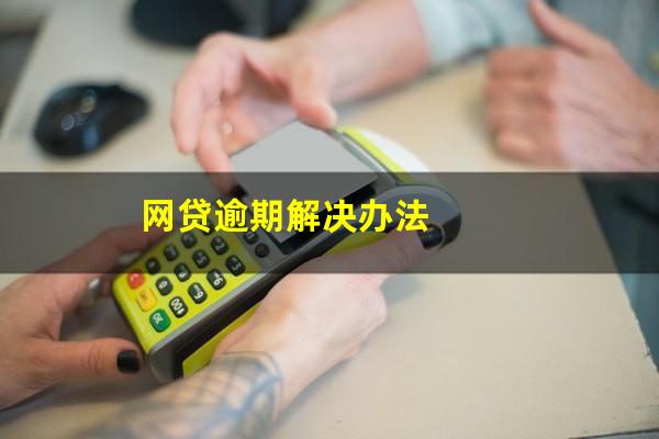 网贷逾期解决办法