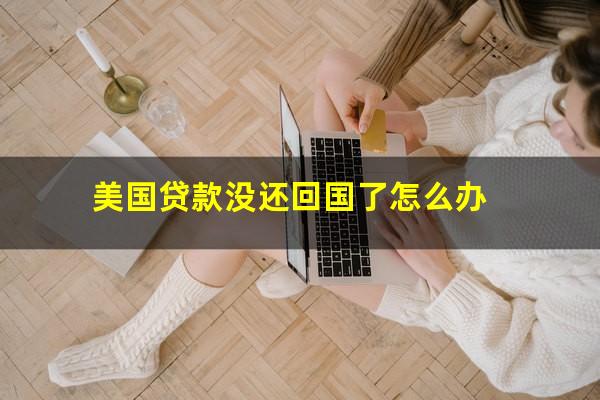 美国贷款没还回国了怎么办