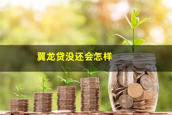 翼龙贷没还会怎样