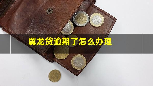 翼龙贷逾期了怎么办理
