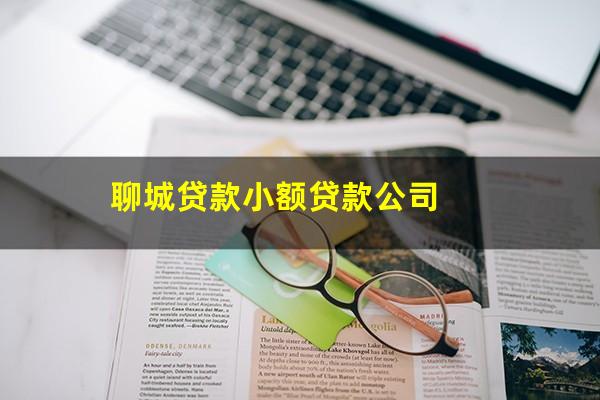 聊城贷款小额贷款公司