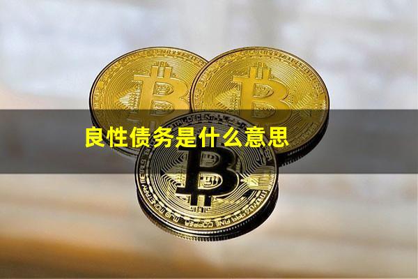 良性债务是什么意思