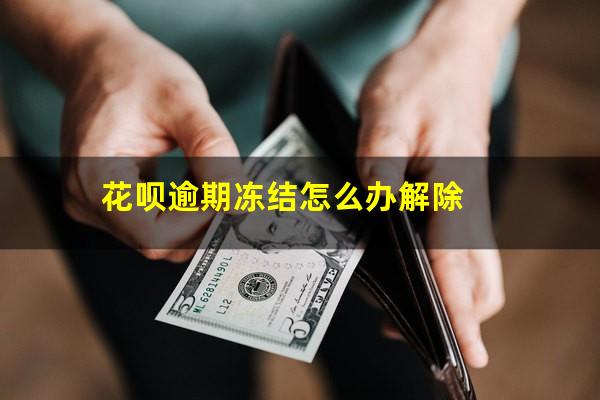 花呗逾期冻结怎么办解除