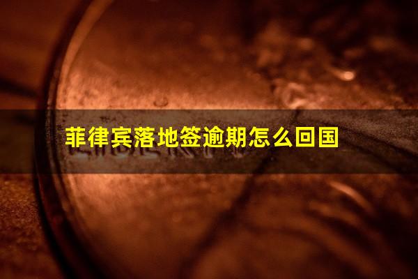 菲律宾落地签逾期怎么回国