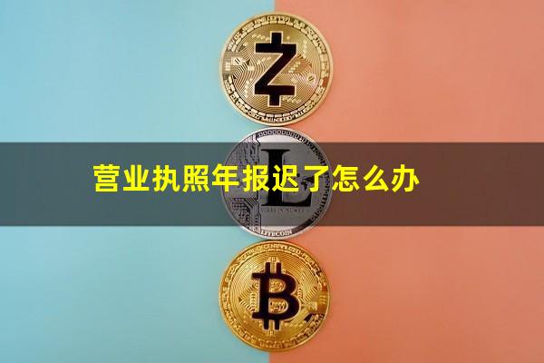 营业执照年报迟了怎么办