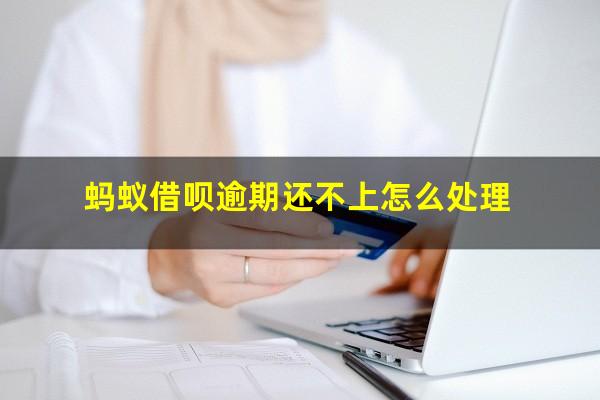 蚂蚁借呗逾期还不上怎么处理
