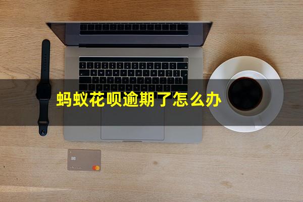 蚂蚁花呗逾期了怎么办