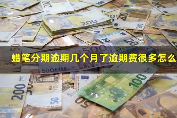 蜡笔分期逾期几个月了逾期费很多怎么办