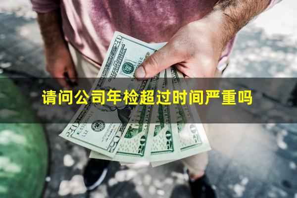 请问公司年检超过时间严重吗