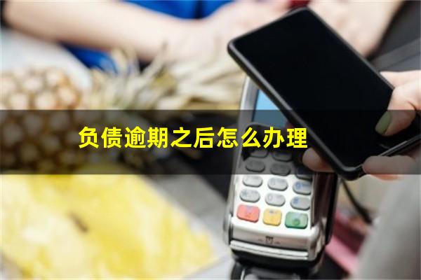 负债逾期之后怎么办理