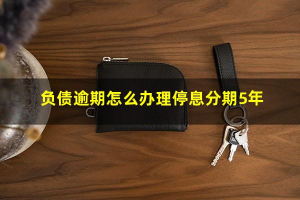 负债逾期怎么办理停息分期5年