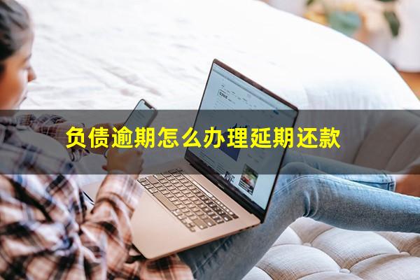 负债逾期怎么办理延期还款