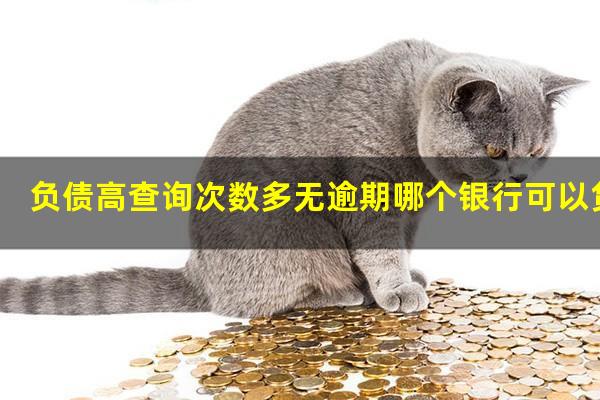 负债高查询次数多无逾期哪个银行可以贷款