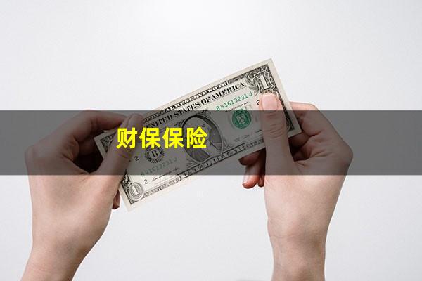 财保保险