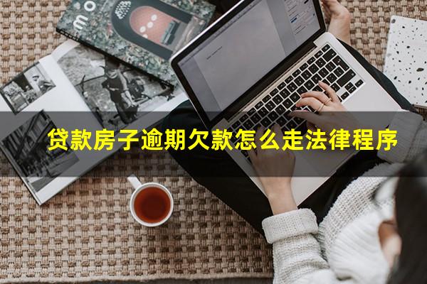 贷款房子逾期欠款怎么走法律程序
