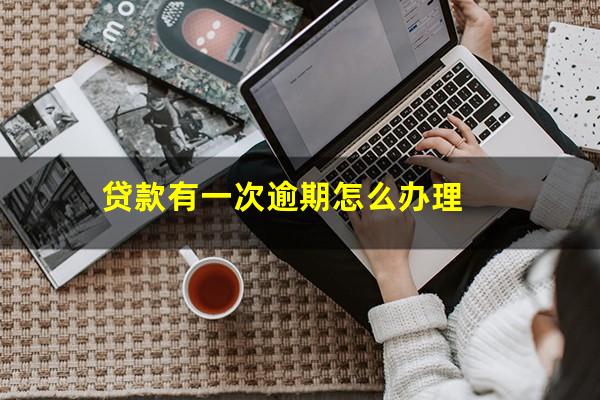 贷款有一次逾期怎么办理