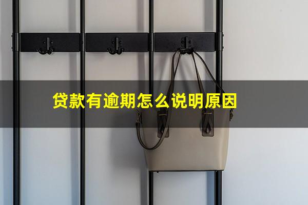 贷款有逾期怎么说明原因