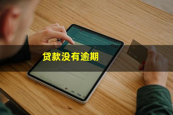 贷款没有逾期