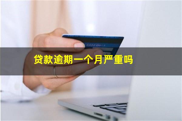 贷款逾期一个月严重吗