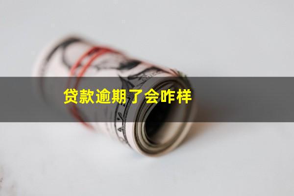 贷款逾期了会咋样