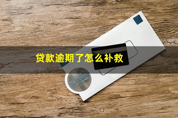 贷款逾期了怎么补救