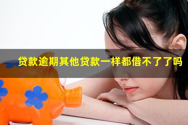 贷款逾期其他贷款一样都借不了了吗