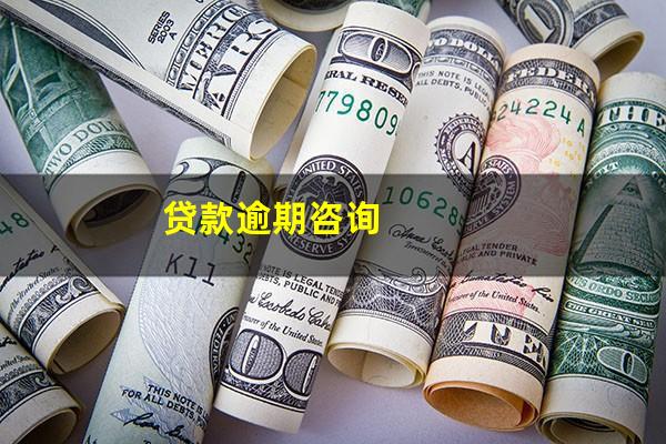 贷款逾期咨询