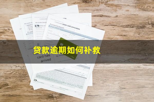 贷款逾期如何补救