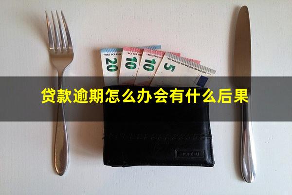 贷款逾期怎么办会有什么后果
