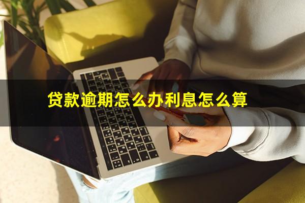 贷款逾期怎么办利息怎么算