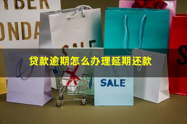 贷款逾期怎么办理延期还款