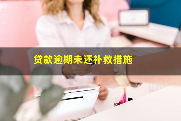 贷款逾期未还补救措施