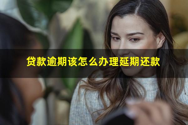 贷款逾期该怎么办理延期还款