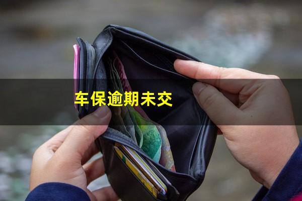 车保逾期未交