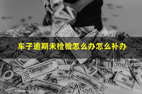 车子逾期未检验怎么办怎么补办