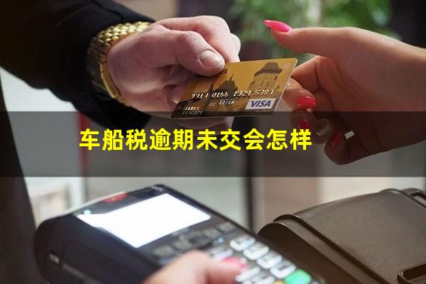 车船税逾期未交会怎样
