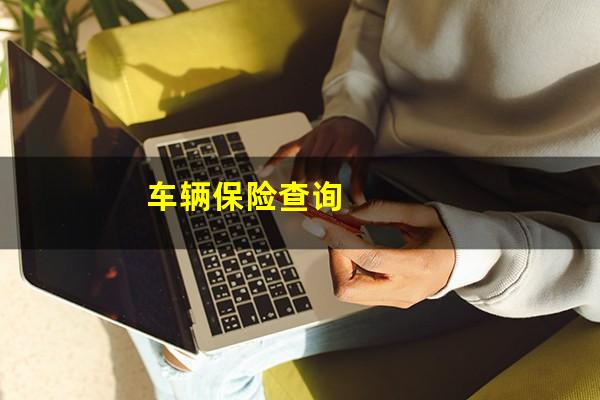 车辆保险查询