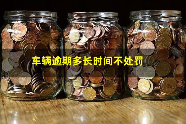 车辆逾期多长时间不处罚