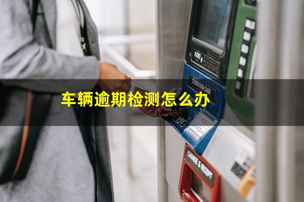 车辆逾期检测怎么办