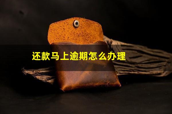 还款马上逾期怎么办理